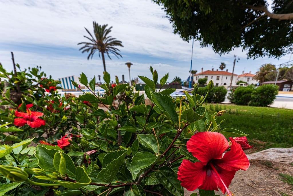 Sea Apartment Torre Del Mar Zewnętrze zdjęcie